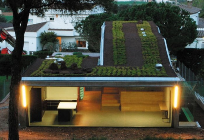 green roofed house